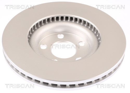 Brake Disc TRISCAN 812016177C 2