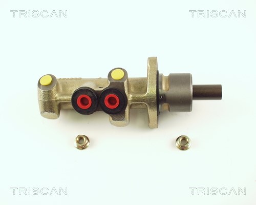 Brake Master Cylinder TRISCAN 813025120