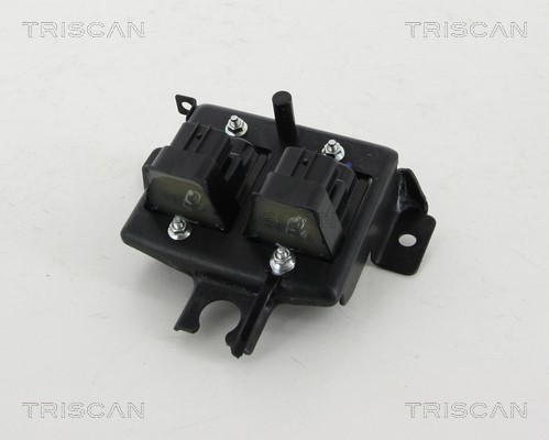Ignition Coil TRISCAN 886050019