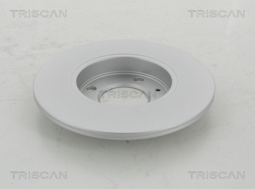 Brake Disc TRISCAN 812029138C 2