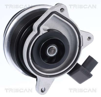 Water Pump, engine cooling TRISCAN 860029062 2