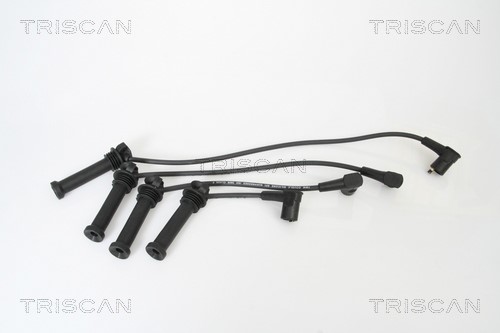 Ignition Cable Kit TRISCAN 886016011
