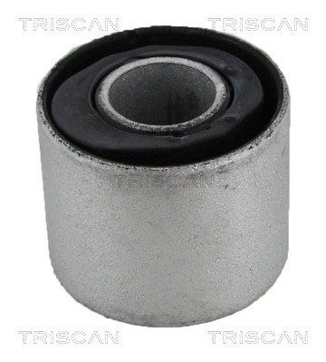 Mounting, control/trailing arm TRISCAN 850023867