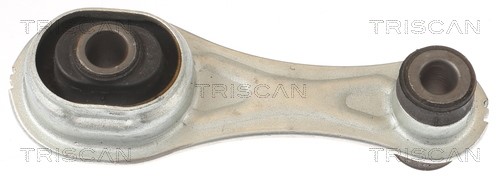 Mounting, engine TRISCAN 850510124