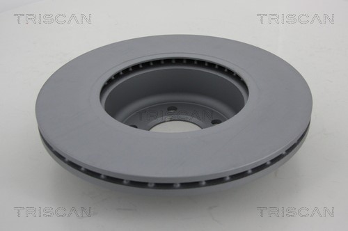Brake Disc TRISCAN 812011191C 2