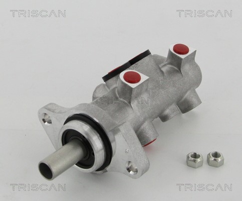 Brake Master Cylinder TRISCAN 813023121