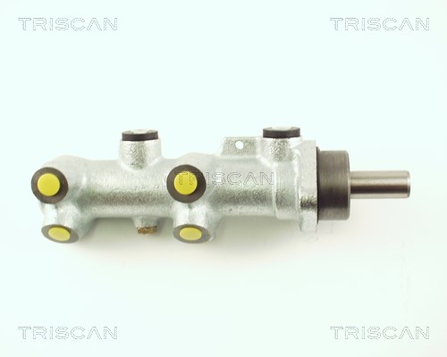 Brake Master Cylinder TRISCAN 813025117