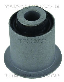 Mounting, control/trailing arm TRISCAN 850040802