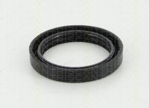 Shaft Seal, differential TRISCAN 855010033