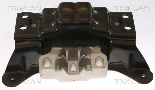 Mounting, engine TRISCAN 850529193