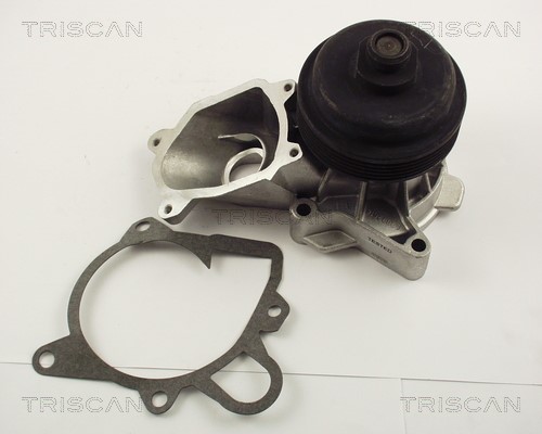 Water Pump, engine cooling TRISCAN 860011011