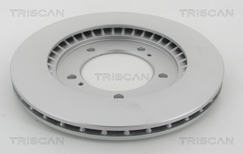 Brake Disc TRISCAN 812069113C 2
