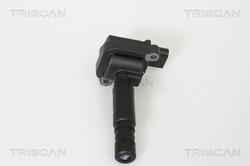 Ignition Coil TRISCAN 886023004