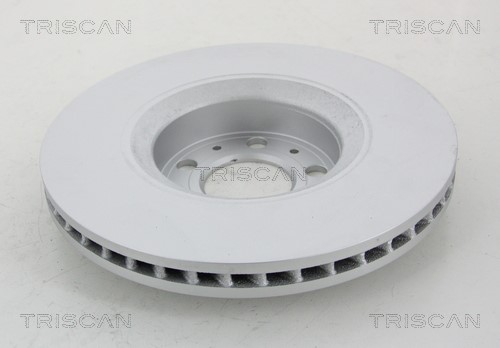 Brake Disc TRISCAN 812027130C 2