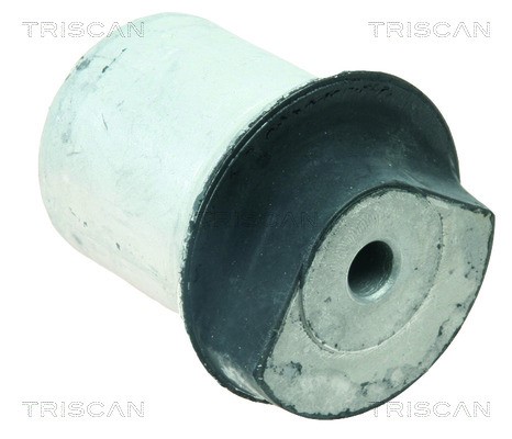 Bushing, axle beam TRISCAN 850024843