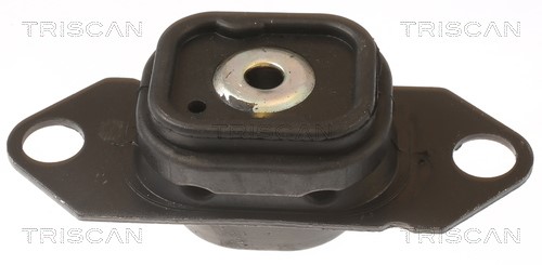 Mounting, engine TRISCAN 850510202