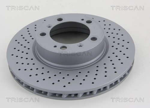 Brake Disc TRISCAN 8120101048C
