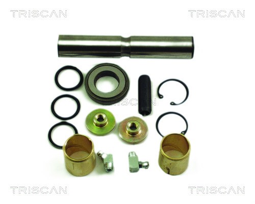 Repair Kit, kingpin TRISCAN 85002362