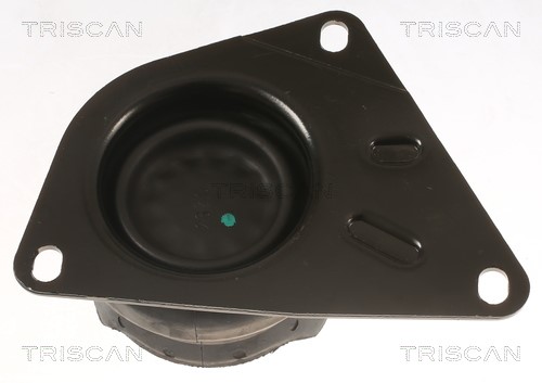 Mounting, engine TRISCAN 850529151 2