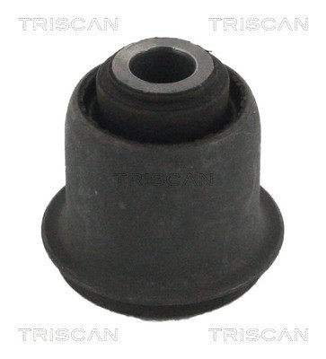 Mounting, control/trailing arm TRISCAN 850050823