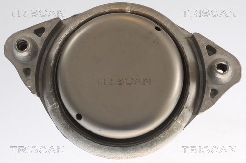 Mounting, engine TRISCAN 850523108 2