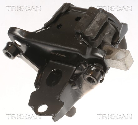 Mounting, engine TRISCAN 850529103 2