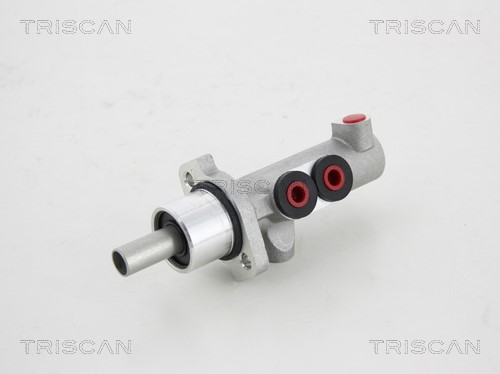 Brake Master Cylinder TRISCAN 813065104