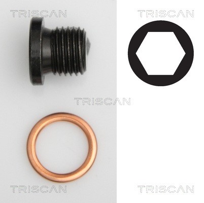 Screw Plug, oil sump TRISCAN 95002906
