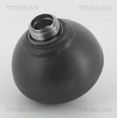 Pressure Accumulator, pneumatic suspension TRISCAN 876038304