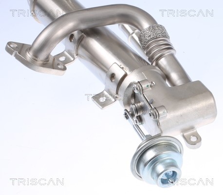 Cooler, exhaust gas recirculation TRISCAN 881329333 5