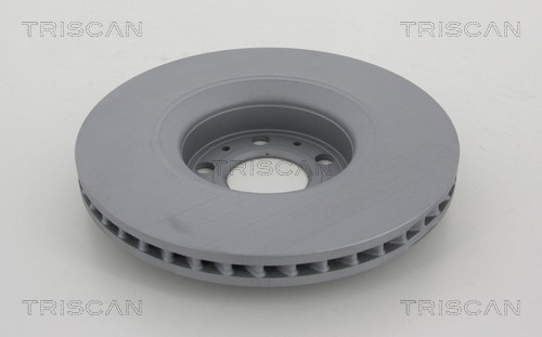 Brake Disc TRISCAN 812029160C 2