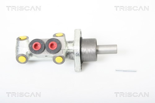 Brake Master Cylinder TRISCAN 813010118