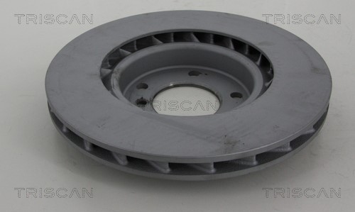 Brake Disc TRISCAN 812011142C 2