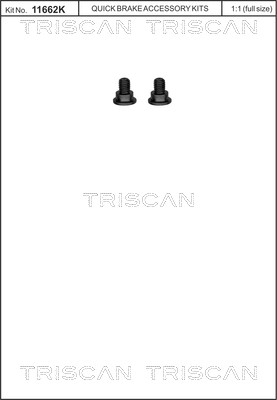 Screw Set, brake disc TRISCAN 8105116003