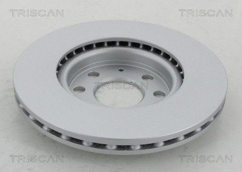 Brake Disc TRISCAN 812010195C 2