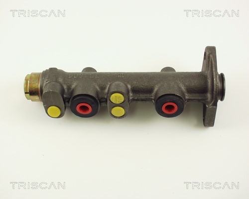 Brake Master Cylinder TRISCAN 813015109