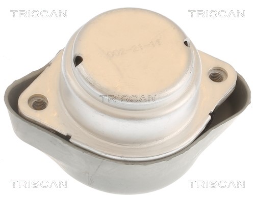Mounting, automatic transmission TRISCAN 850529201