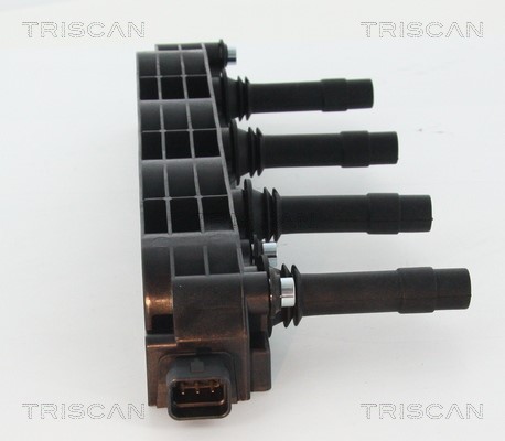Ignition Coil TRISCAN 886024012 2
