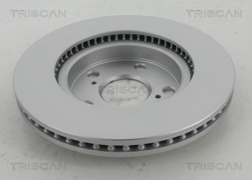 Brake Disc TRISCAN 8120131063C 2