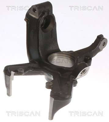 Steering Knuckle, wheel suspension TRISCAN 850029704