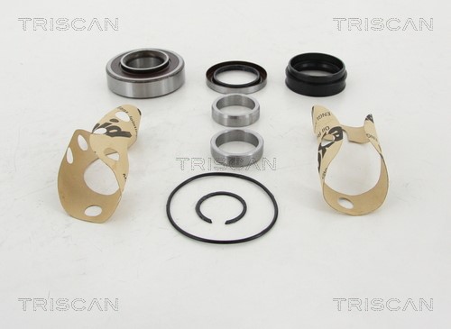 Wheel Bearing Kit TRISCAN 853013281