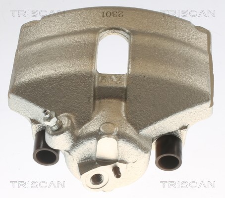 Brake Caliper TRISCAN 817529101 2