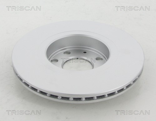 Brake Disc TRISCAN 812024113C 2