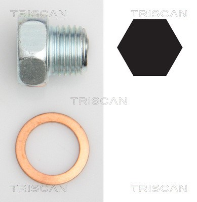 Screw Plug, oil sump TRISCAN 95002404