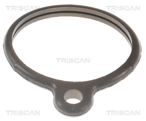 Thermostat, coolant TRISCAN 862010088 4