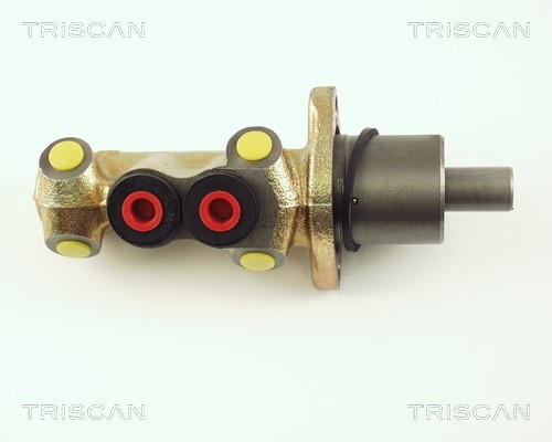 Brake Master Cylinder TRISCAN 813028101