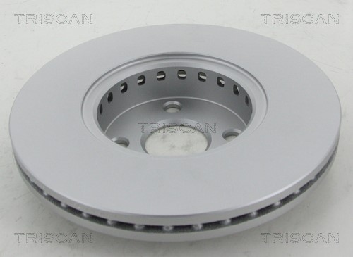 Brake Disc TRISCAN 812013175C 2