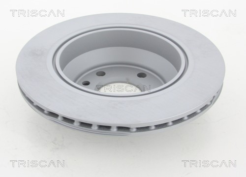 Brake Disc TRISCAN 812029176C 2