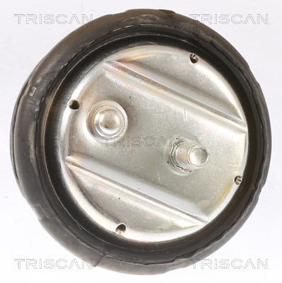 Mounting, engine TRISCAN 850511101 2