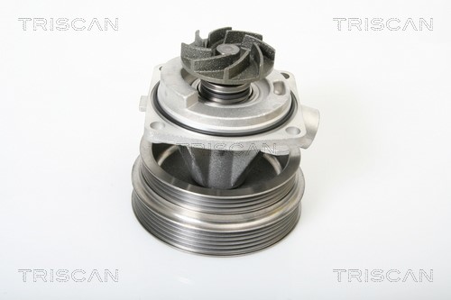 Water Pump, engine cooling TRISCAN 860015014